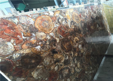 Китай Окаменелые плиты драгоценного камня древесины Семи приглаживают отрезок подгонянный поверхностью поставщик