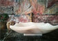 Полигональная мраморная раковина ванной комнаты, естественные каменные раковины сосуда для ванной комнаты поставщик