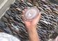Отполированная форма естественного куска камня агата ремесел камня овальная для каботажных судн чая поставщик