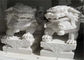 Белая скульптура льва мрамора нефрита, каменные животные скульптуры подгонянный цвет поставщик